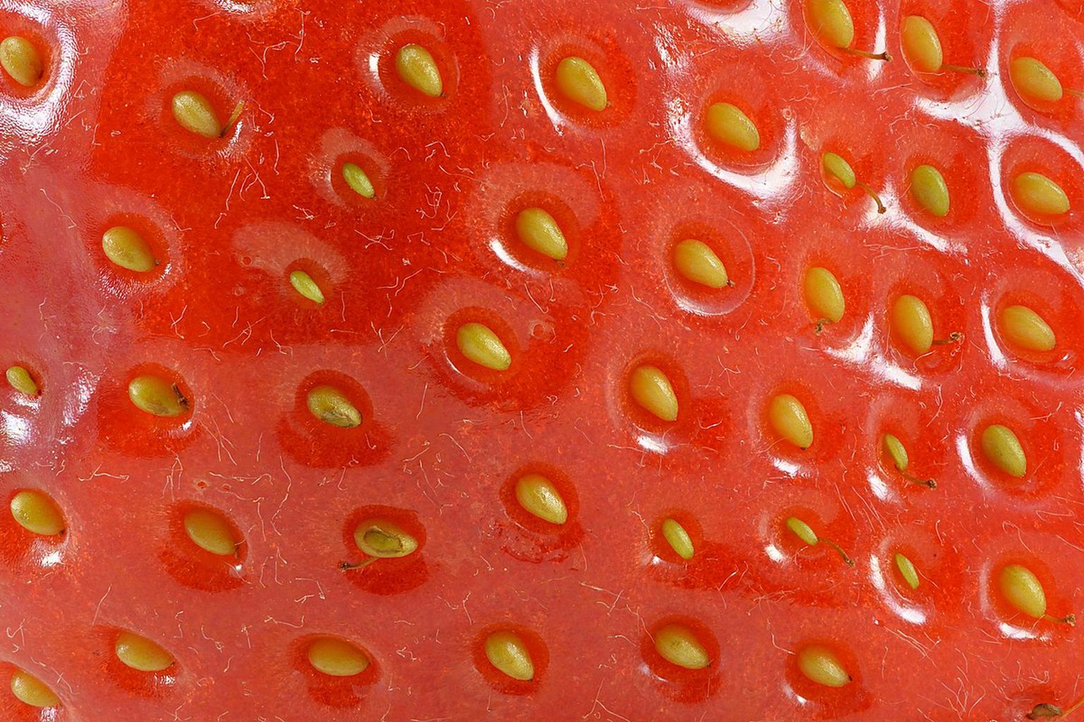 Strawberry tähendab tõlkes maasikat. Magusad mammud teadaolevalt hotellides pakutavate soodustuste hulka siiski ei kuulu.