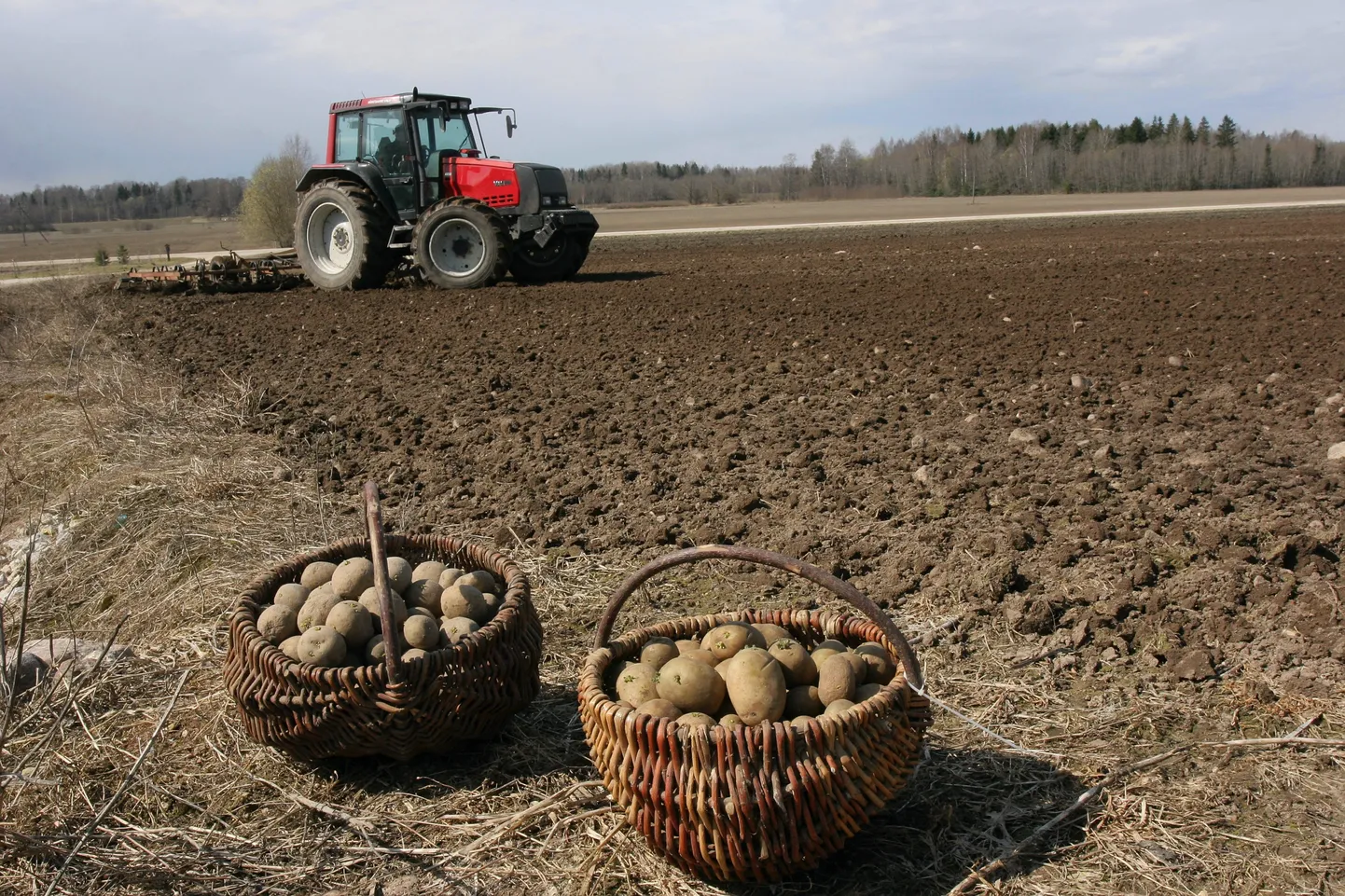 Traktor. Pilt on illustratiivne.