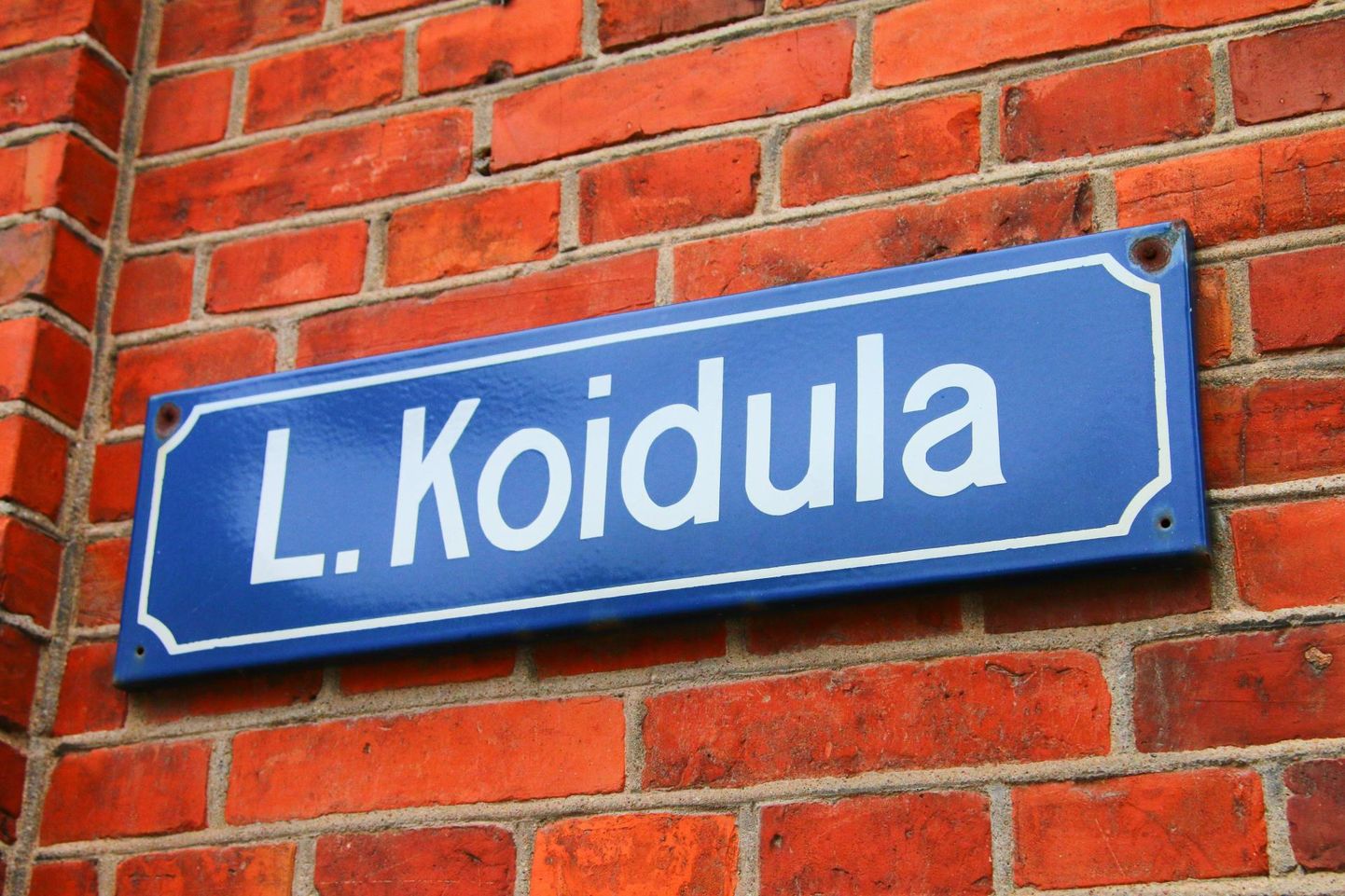Lydia Koidula on Eesti populaarseim isikunimega tänavanimi.