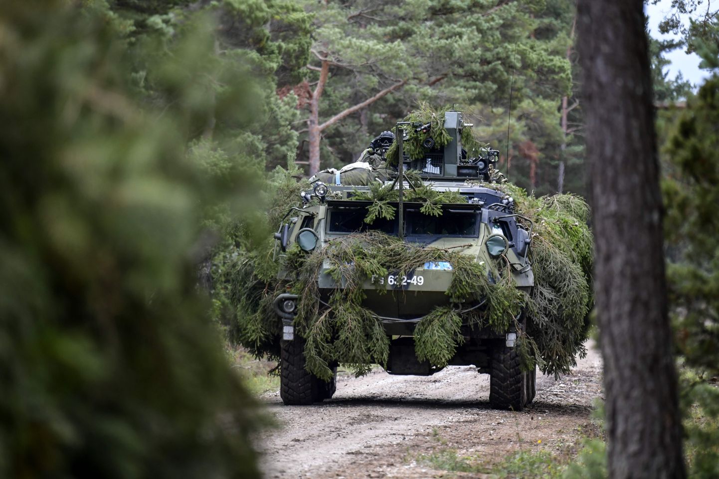 Силы обороны Финляндии.