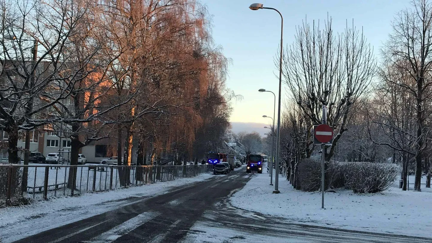 Päästjad tõttasid kärsahaisu põhjust välja selgitama.