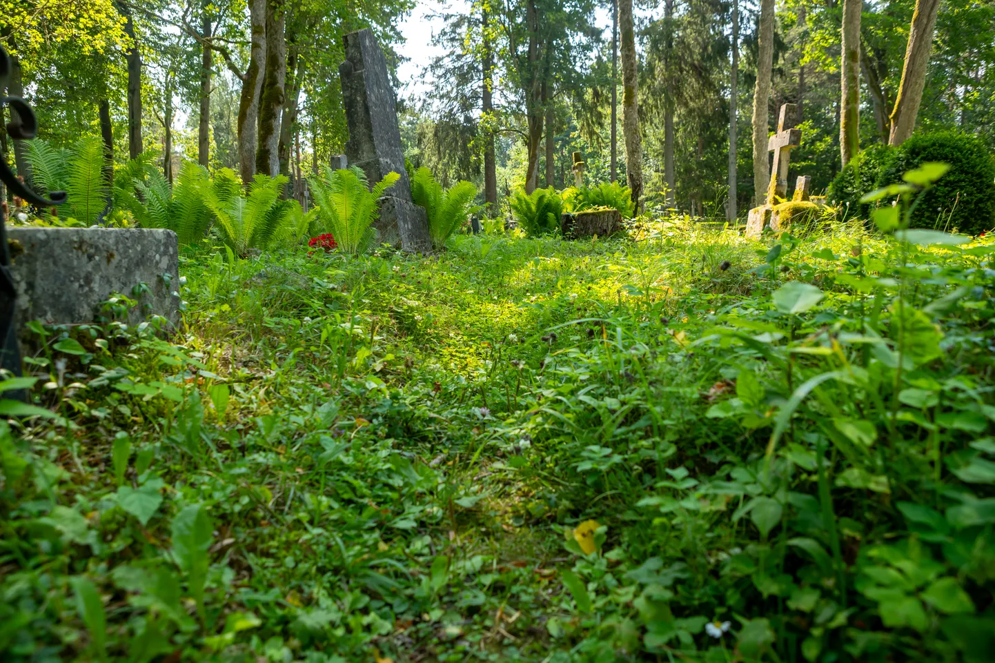 KAARMA KALMISTUL on hetkel käimas suve kolmas suur niitmisring.