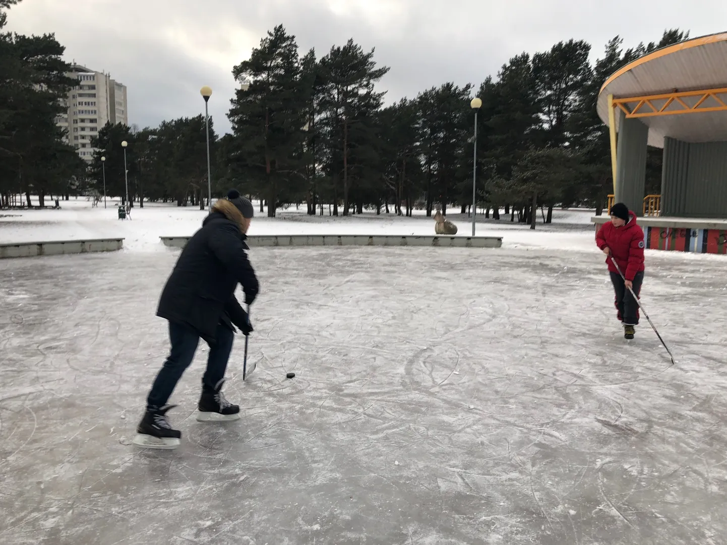 Liuväli Männi pargis.