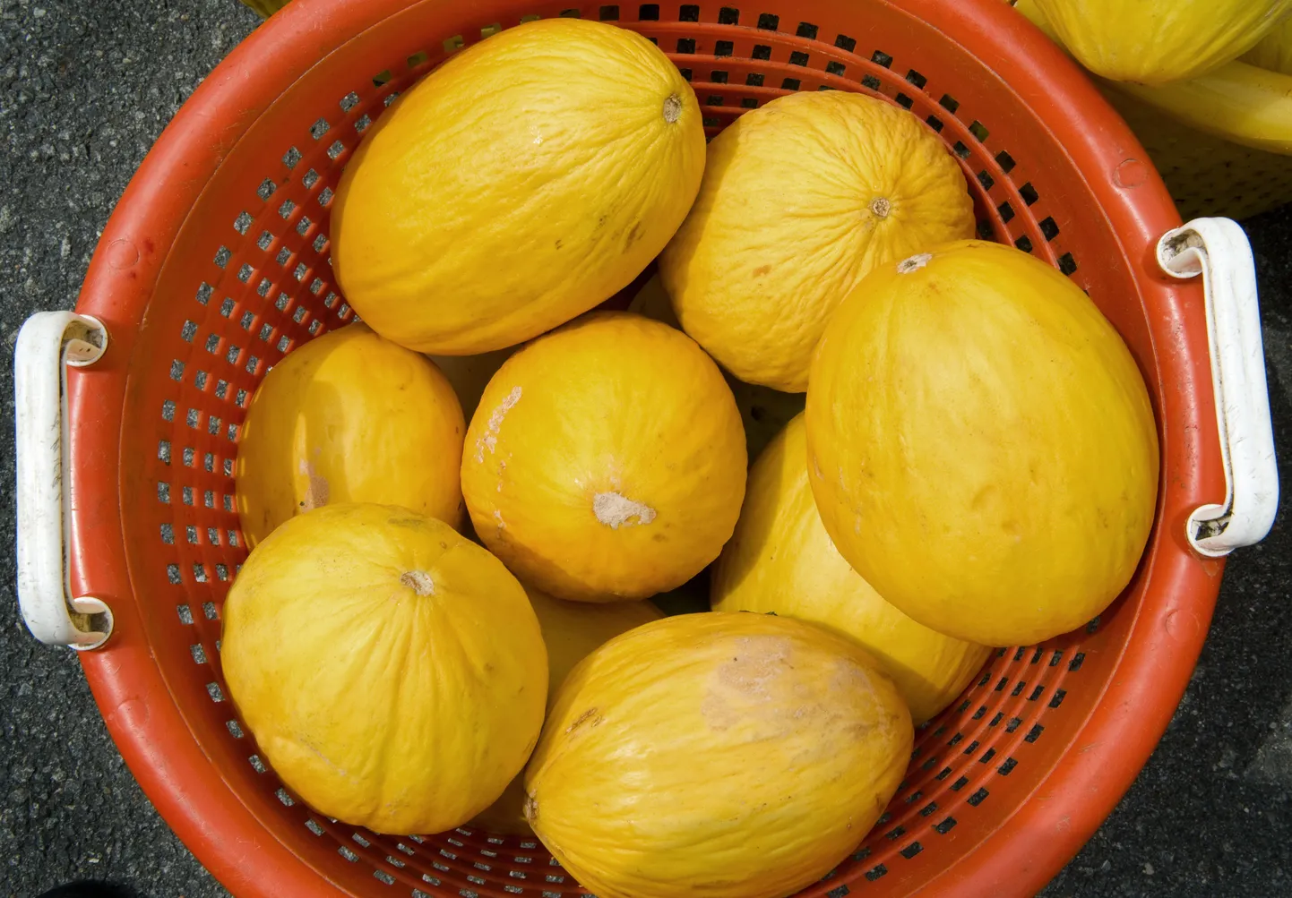Melon on küllalt energiarikas, 100 g annab 30–42 kcal energiat, teiste kõrvitsalistega võrreldes paras energiapomm.