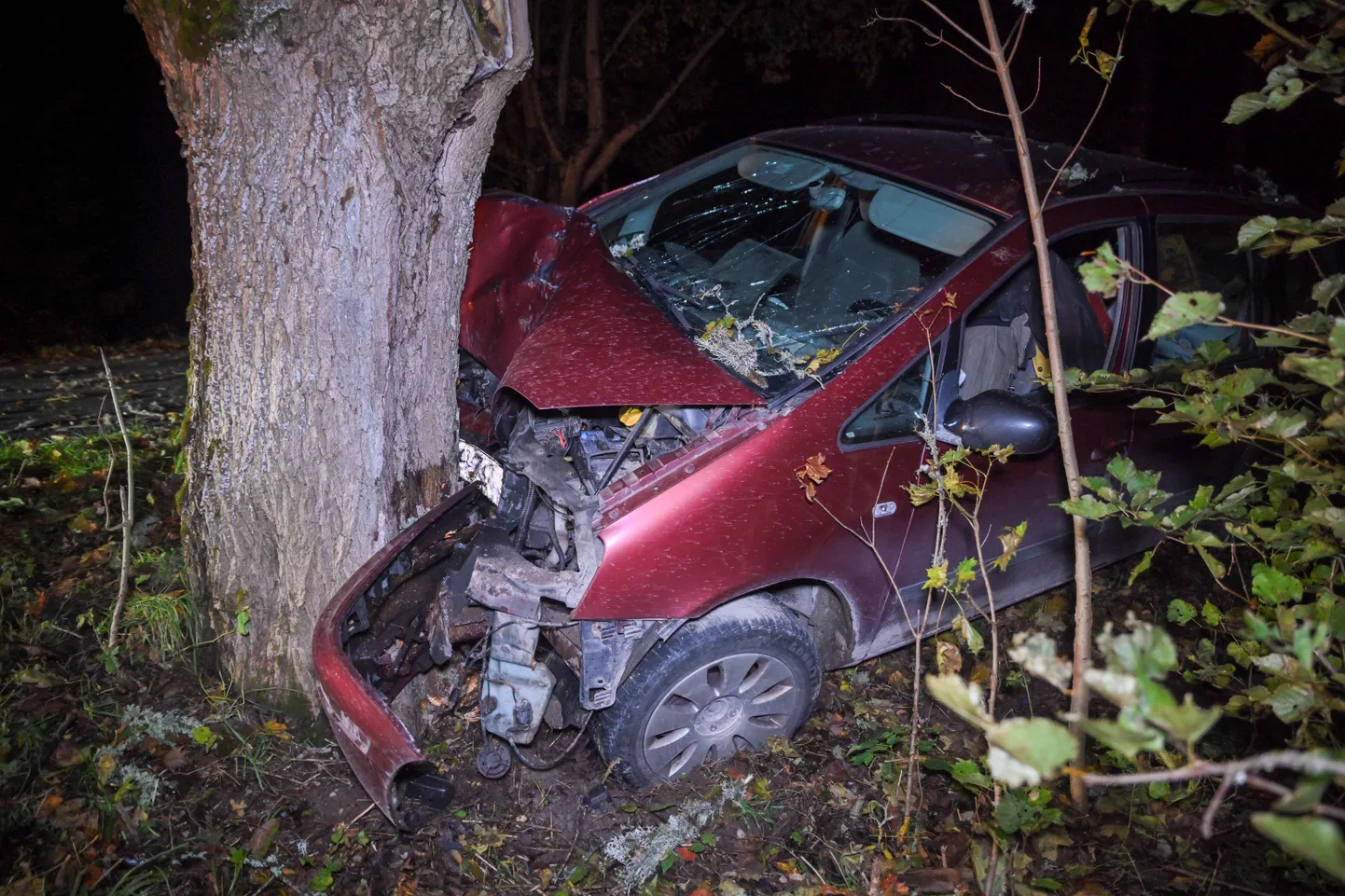 Автомобиль врезался в дерево.