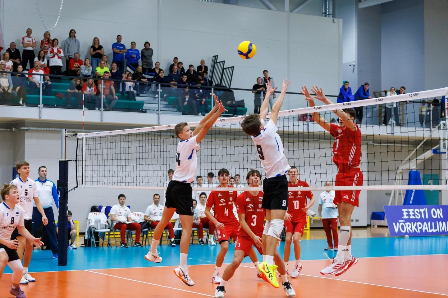 Viljandi spordikoolis treeniv 14-aastane Holger Purga (vasakul, hüppel) valiti nädalavahetusel Kääriku spordihallis peetud EEVZA-turniiril Eesti koondise väärtuslikuimaks mängijaks.