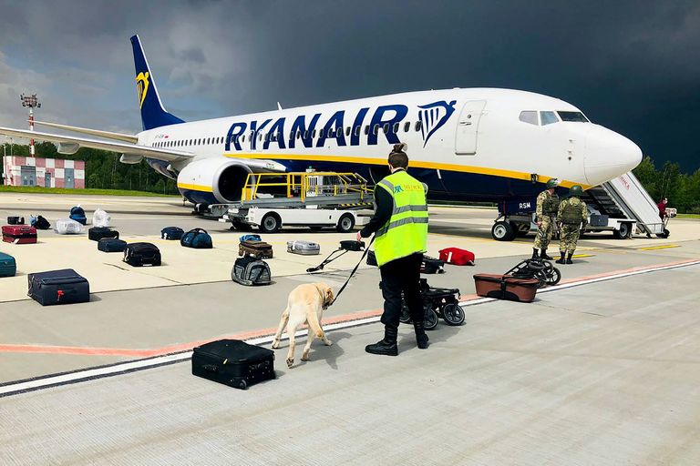 Minskas lidostas drošības dienesta darbinieks ar suni pārbauda Minskā nosēdināto "Ryanair" lidmašīnu