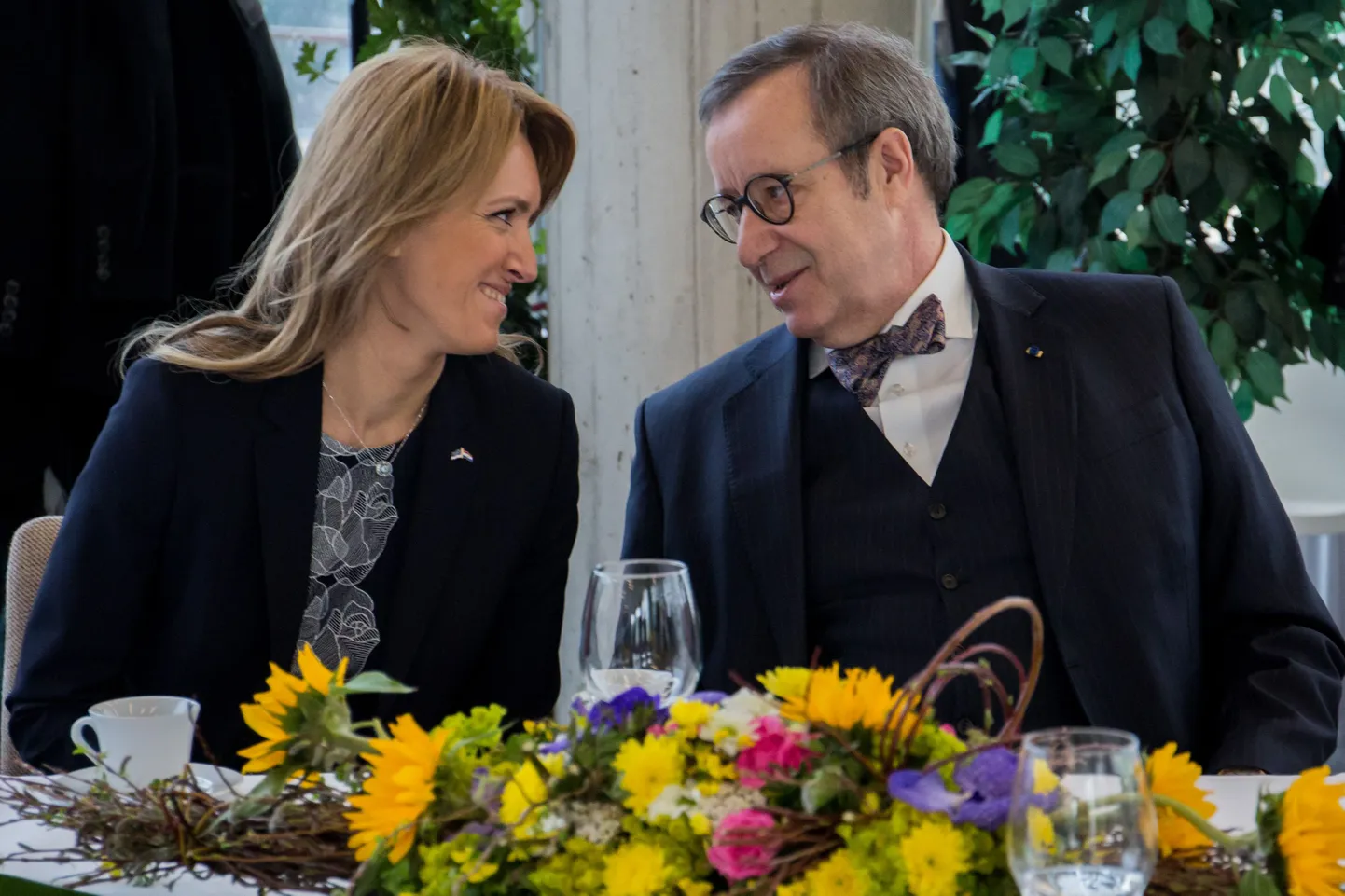 Pildil IEVA ILVES,  TOOMAS HENDRIK ILVES