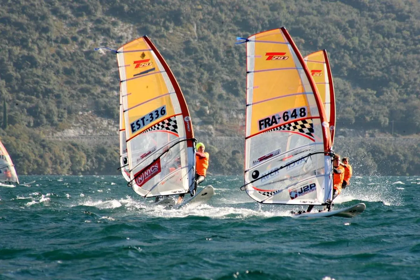Raul Mihkel Anton