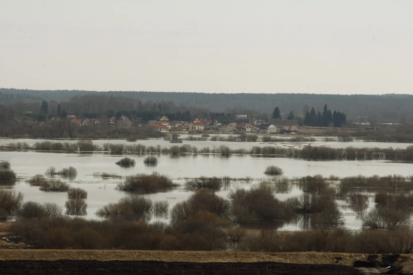 Üleujutanud Emajõe luht. Taamal Vana-Ihaste ja Veibri.