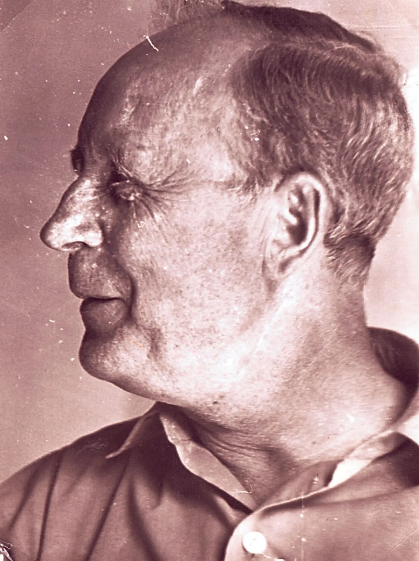 Artikli foto