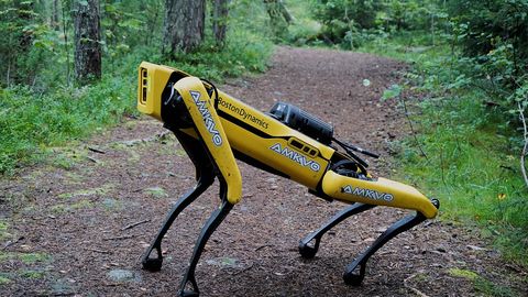 VIDEOD LISATUD ⟩ 10 ägedamat robotkoera – loe ja vaata, mida need teha oskavad