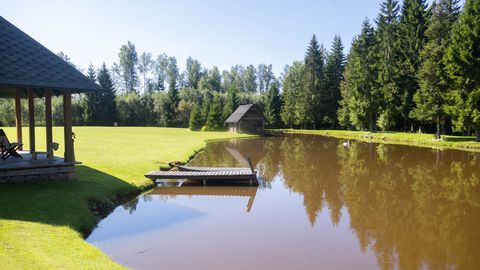 Tiigi loomine muutis soo uhket tiitlit väärivaks koduks