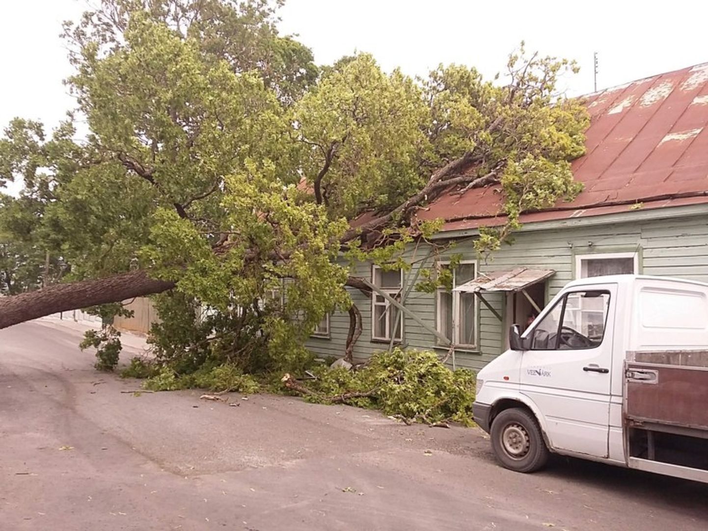 В Хаапсалу на жилой дом упало дерево.