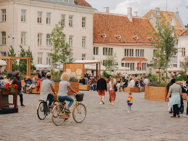 Tallinna Raekoja platsi ajutine park