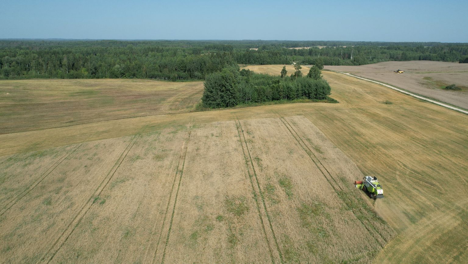 Riigimaade müük tõi riigikassasse mullu ligi 50 miljonit eurot