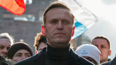 «Дело против Навального - косвенное признание вины от Путина»: реакция в ЕС на уголовное дело против оппозиционера