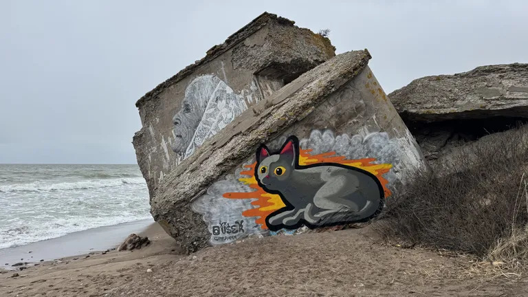 "Straumes" kaķītis nu atradis vietu arī Liepājā!