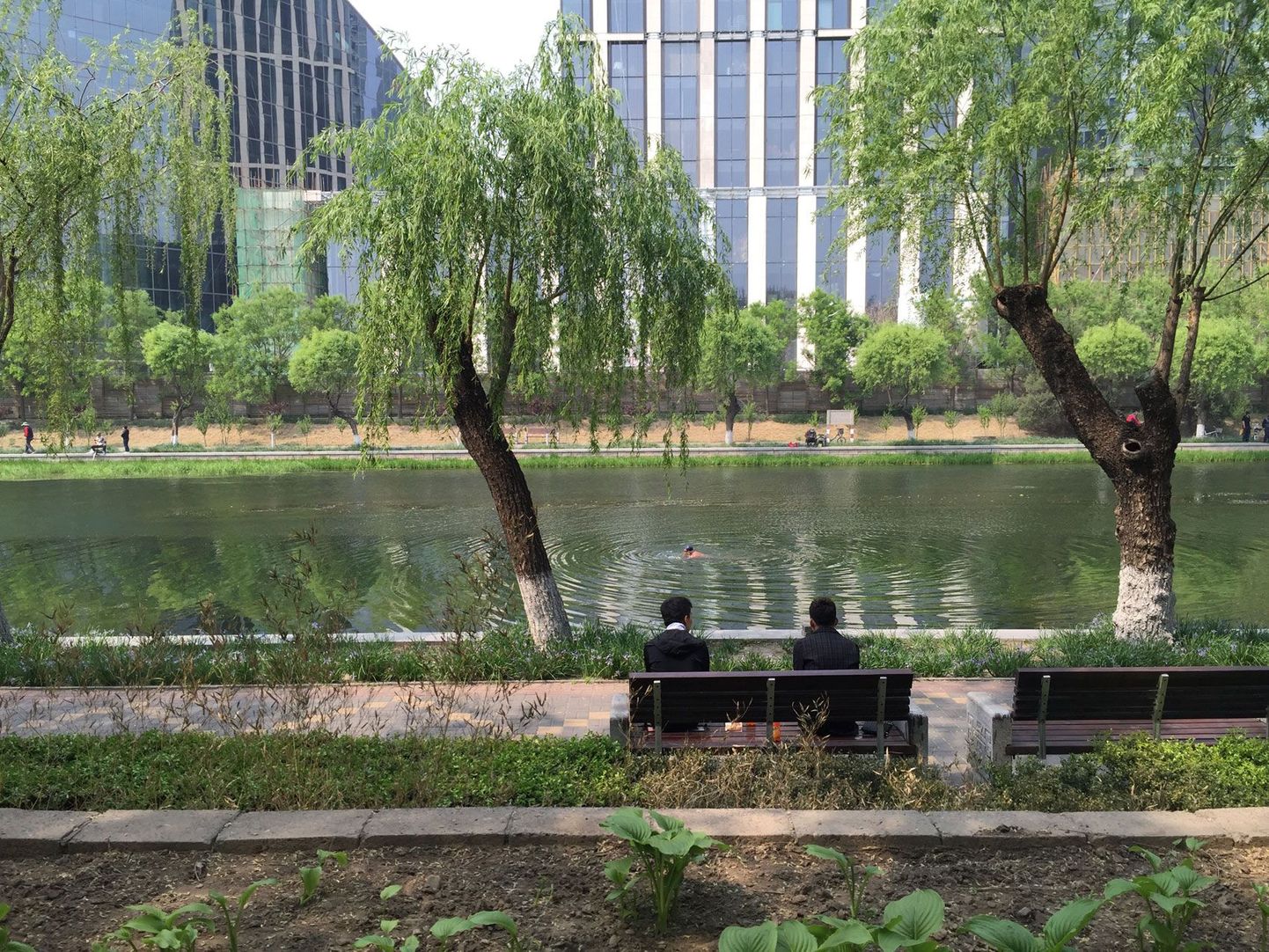 21 miljoni elanikuga Pekingi linna saatkondade rajoonis käis mõni elanik aprillikuus enda jahutamiseks juba jões suplemas.