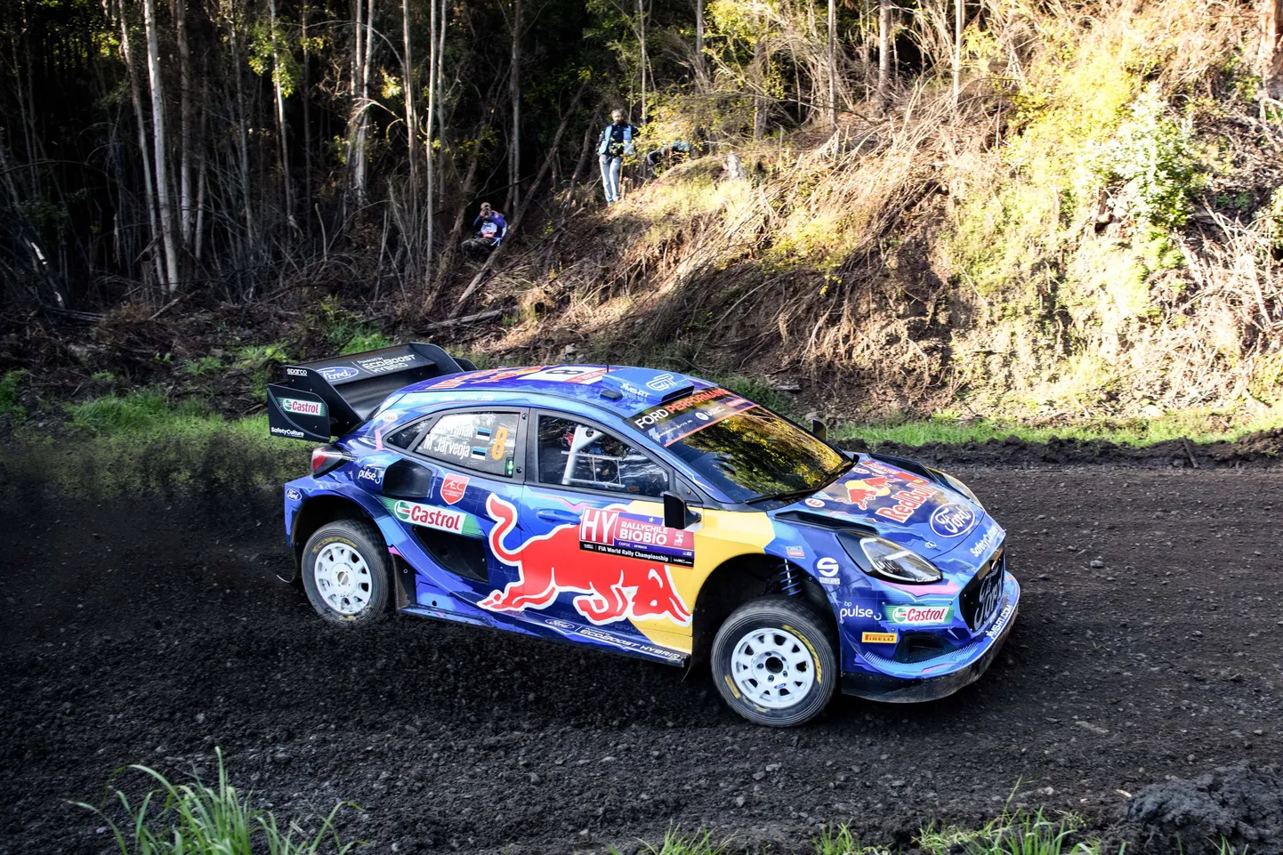 Ott Tänak Tšiili rallil.