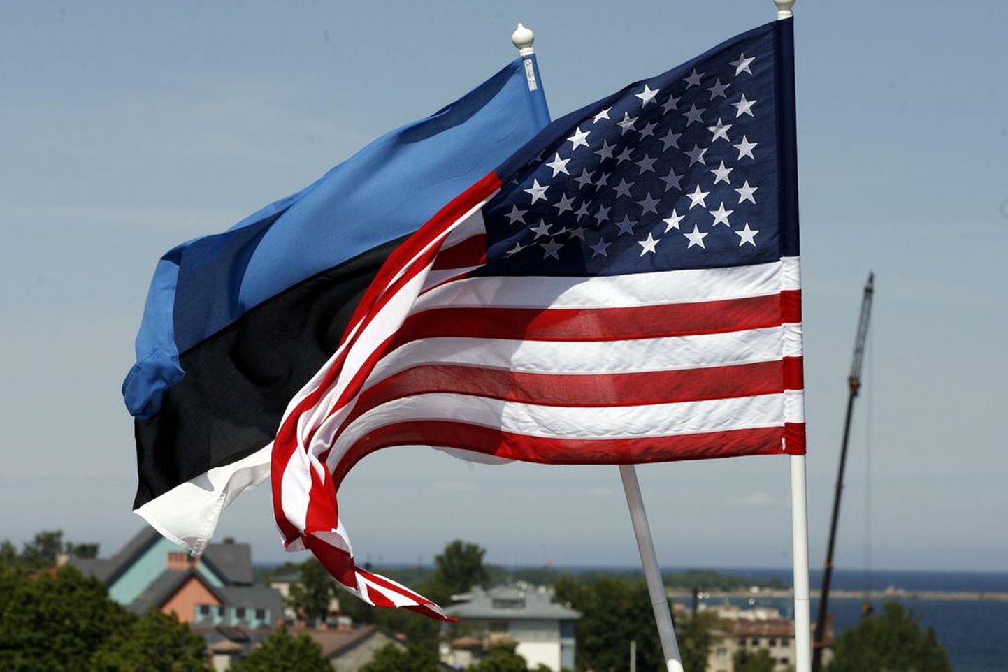 Флаги Эстонии и США.