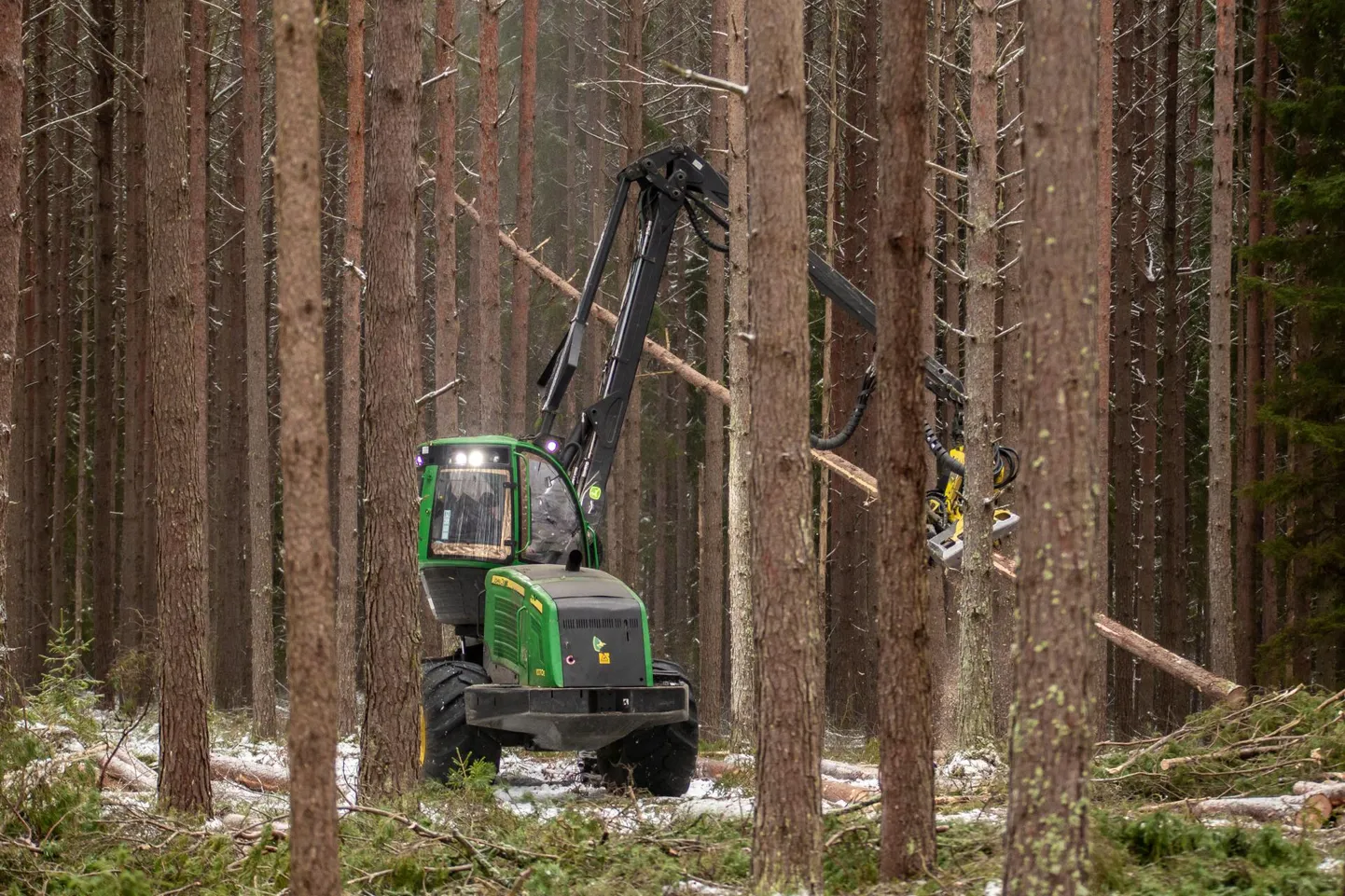 Arenguseire Keskuses koostatud kindlusindeksi järgi on kriisile kõige paremini vastu pidanud info ja side, tervishoid ning metsa- ja puidutööstusega seonduvad ettevõtted.