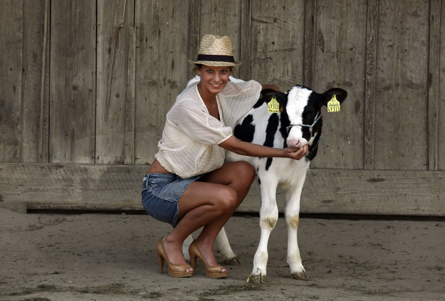 Farmerist modell Juliane ja vasikas
