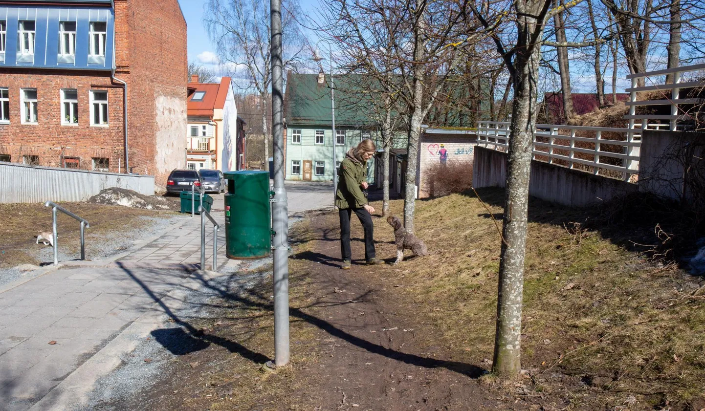 Supilinlane Kert Mõttus käib koeraga jalutamas Tähtvere tänaval, kus on vaid üks prügikast.