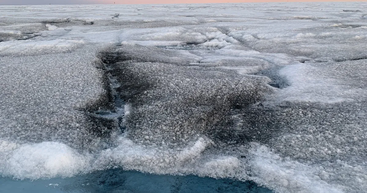 Virușii gigantici care pot fi văzuți cu ochiul liber se topesc din gheața Groenlandei!