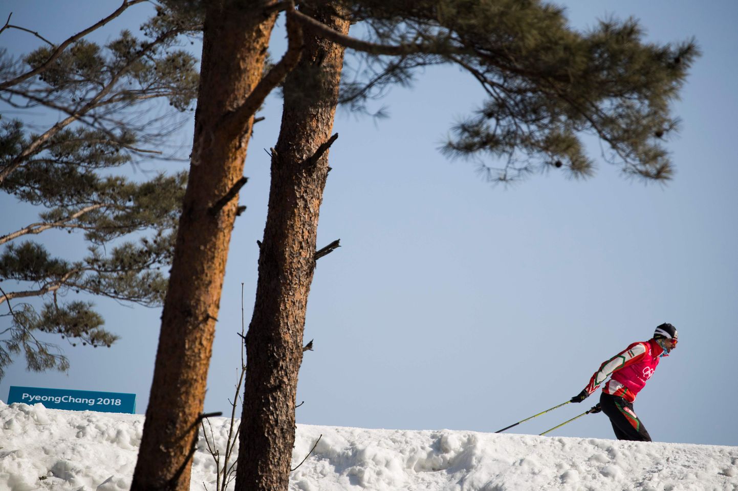 Иранскому лыжнику Сейиду Саттару тоже подарят смартфон