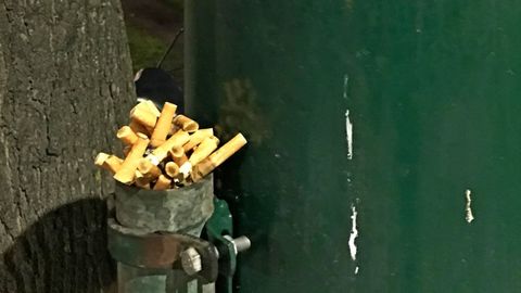 MAASIKAS PÄÄSTIS PÄEVA! ⟩ Möödakäijat häiris pidev konivirn posti otsas ning ta otsustas sellele üllataval moel lõpu teha