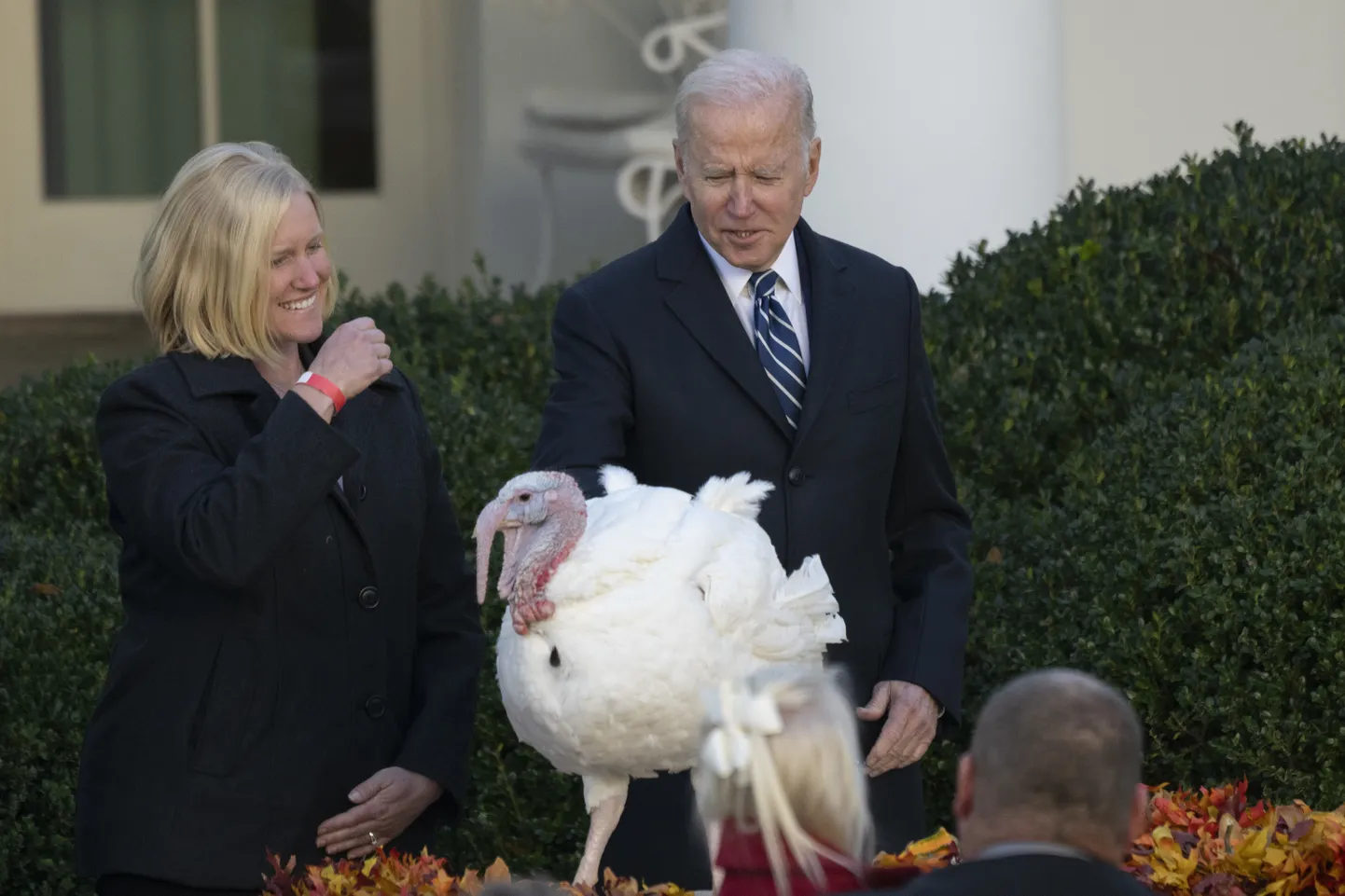 Biden kalkuniga.