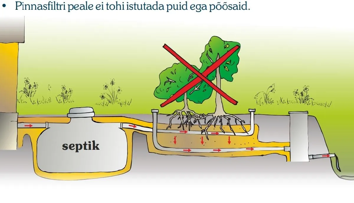 Puude ja põõsaste juured võivad ummistada või lõhkuda torusid.