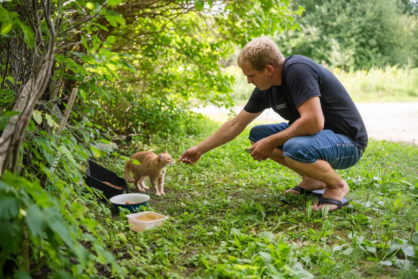 Jaan Gentalen paitab punast kassi, kes peab siiski oma järjekorda vabas looduses ootama, sest talle pole hoiukodu, kodu ega muud kohta.