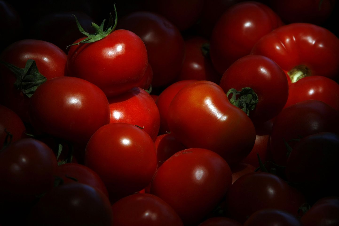 Saientoloogia rajaja leiutas tomatite valumõõtmise aparaadi