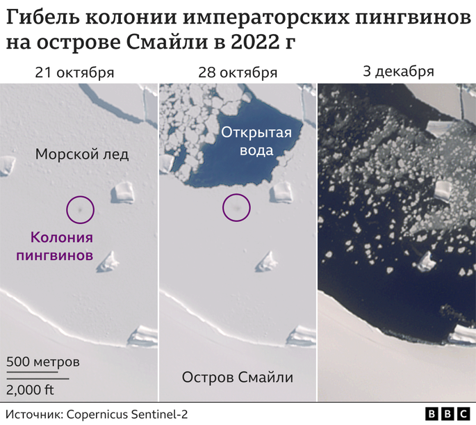 Раскрыт механизм, который позволяет сперматозоидам находить яйцеклетку - sparksex.ru