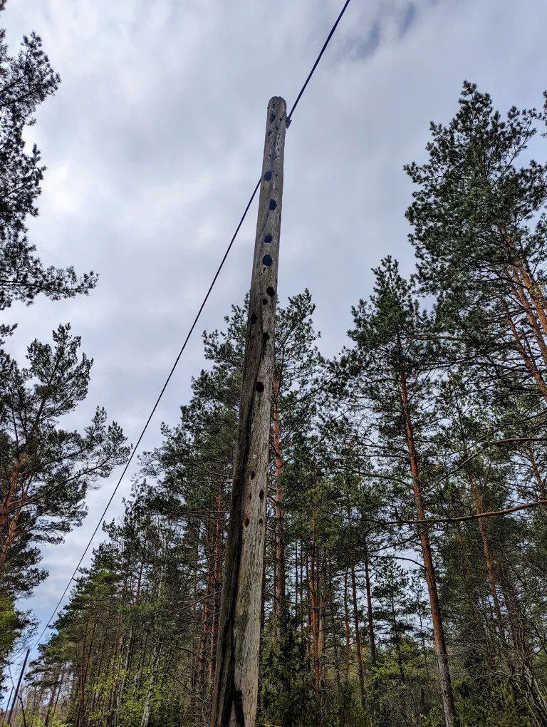 Tambet saatis paari aasta tagase foto Karida külast, kuhu Elektrilevi siis uue isoleeritud õhuliini pani: "Ei teagi, kas need elektripostid on osa pärandkooslusest või elutseb seal mõni punase raamatu nimestikku kuuluv loomake. Igatahes meil vedas ja olime kõigest nädala ilma elektrivarustuseta ja post siiamaani püsti, ju ta seisab teise 60 aastat veel ära."