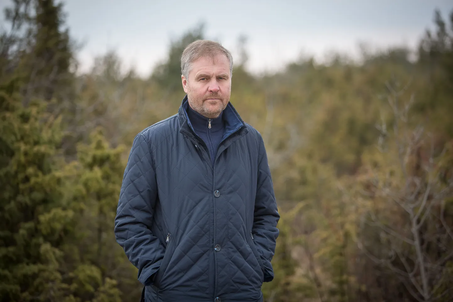 Saarte jahimeeste seltsi juhatuse esimehe Mati Tangi arvates ei tea keegi päris täpselt, kui palju Saaremaal metssigu on.