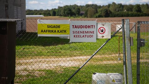 Viljandimaal algas loomade matmispaika ümbritseva aia ehitus