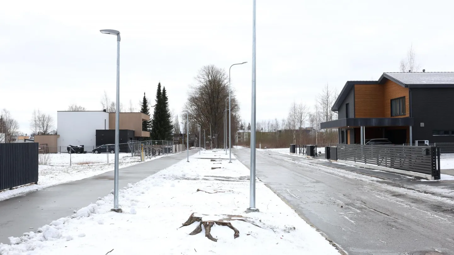 Tammelinnas palistab Tammepärja tänava äärt nüüd kändude rida.