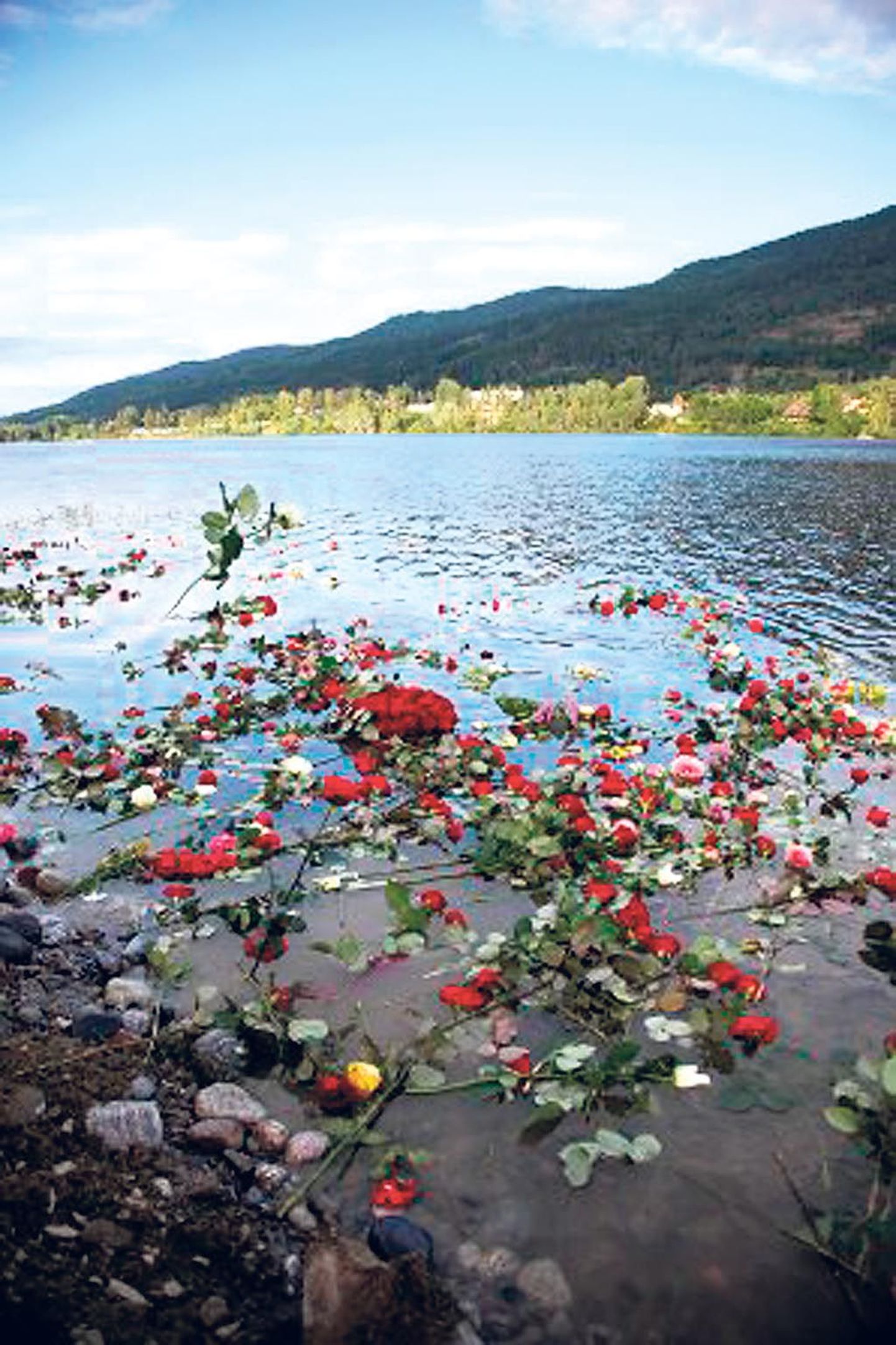 Norralased on heitnud hukkunute mälestuseks hulgaliselt lilleõisi Tyrifjordi järve, kus asub kümnetele noortele saatuslikuks saanud saar.