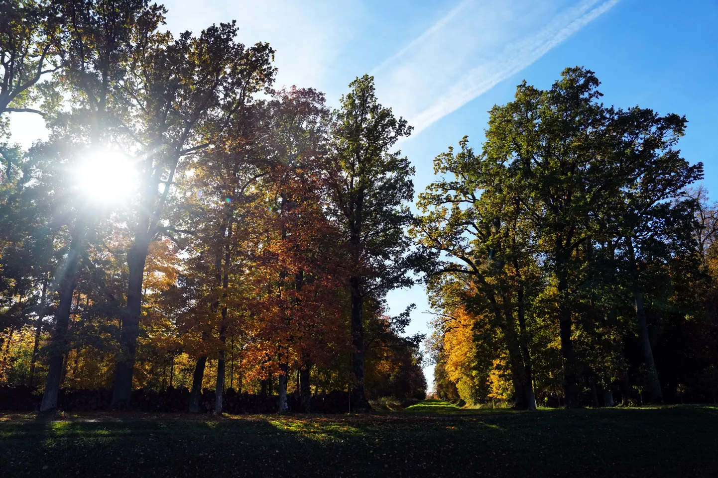 Rudens.