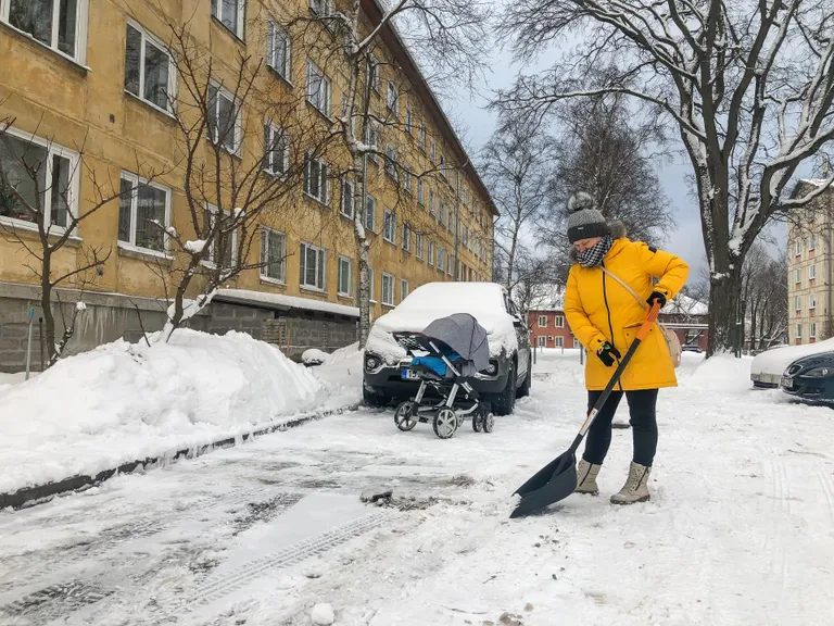 Pille Põhja-Tallinnast.