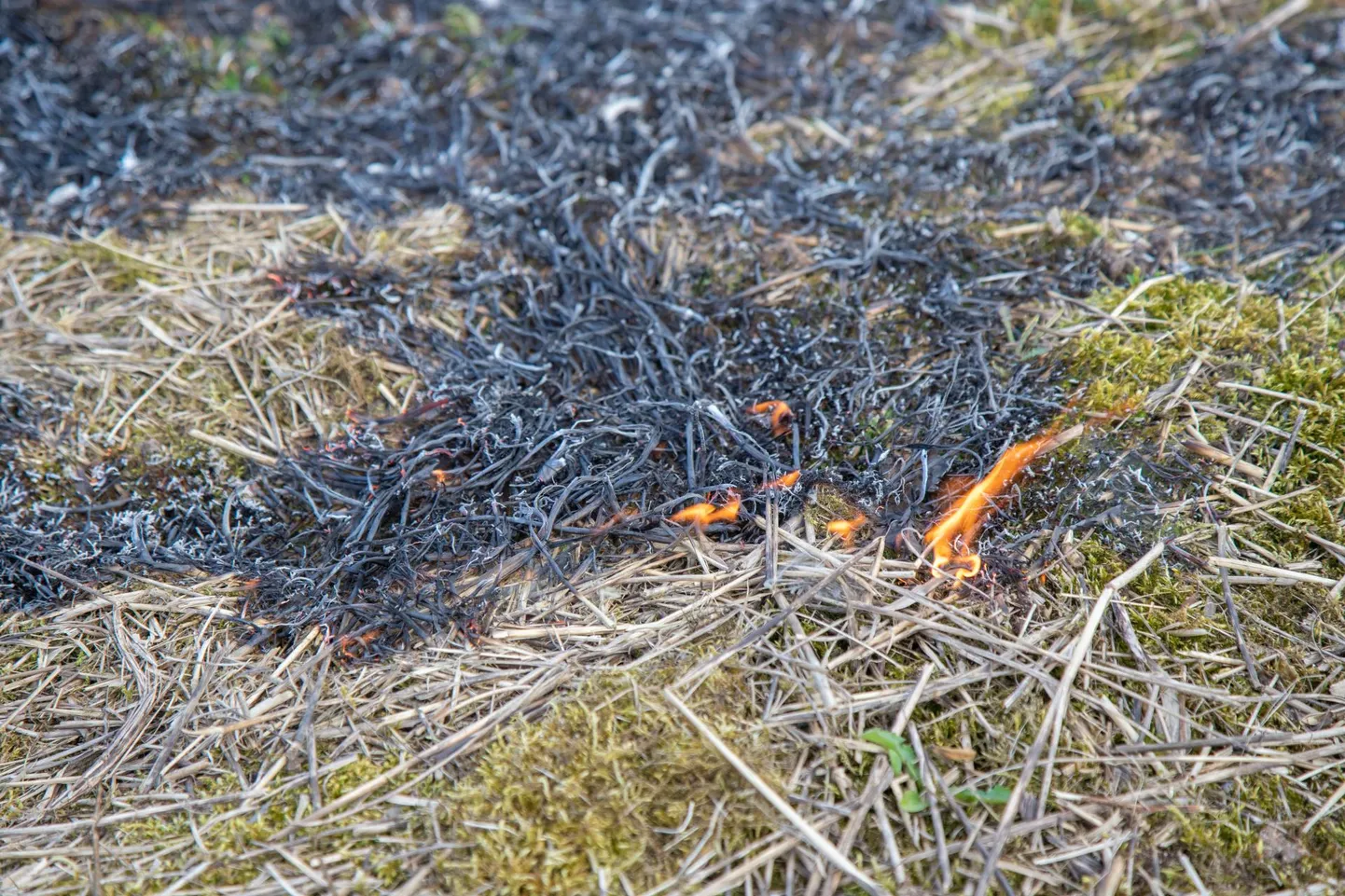 Eile kutsuti päästjad Viljandimaal kahele kulupõlengule.