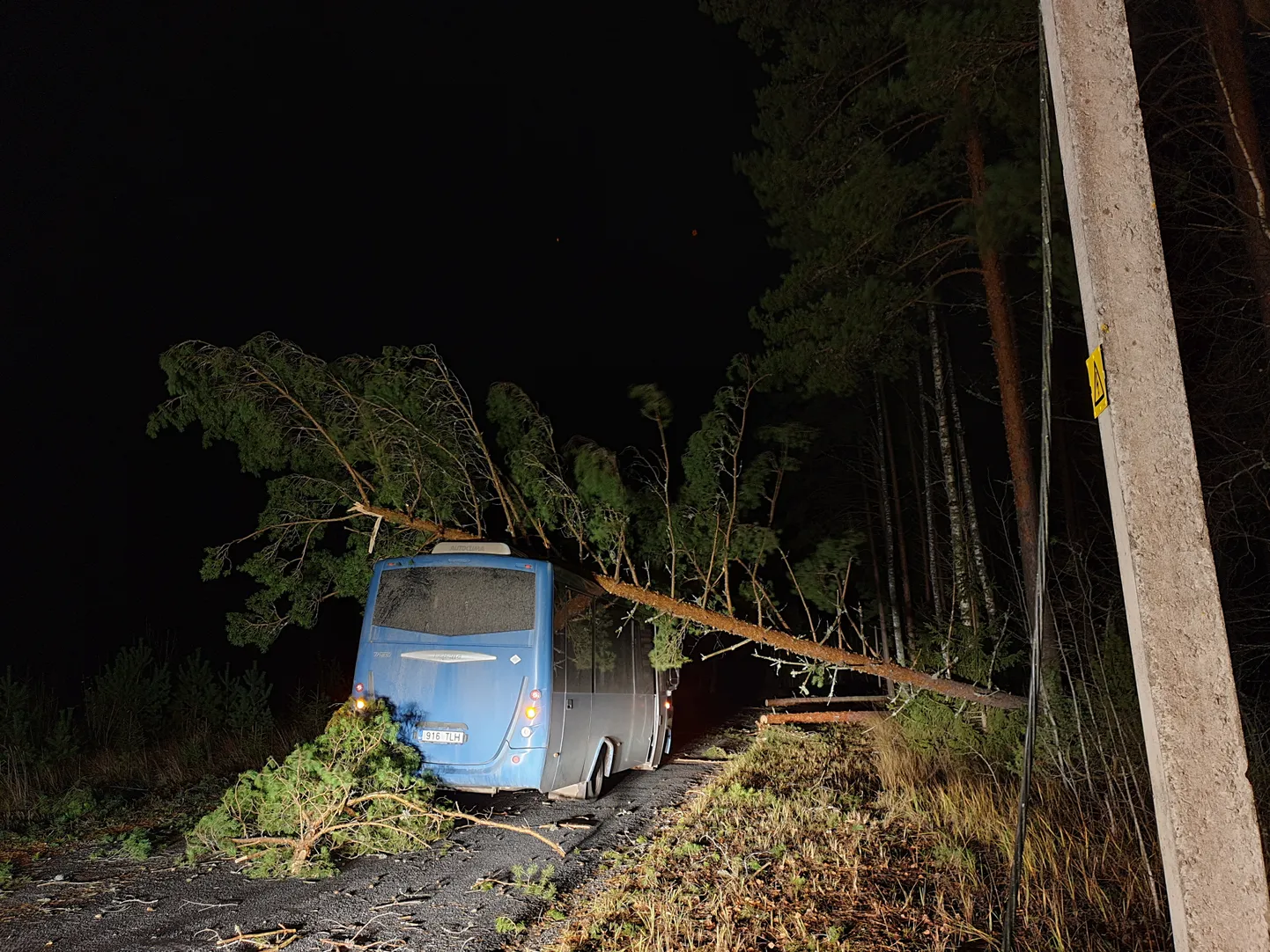Liinibussile - nii nagu Tartumaal oktoobri lõpus - järgmise nädala tuuled loodetavasti enam puud ei kukuta.