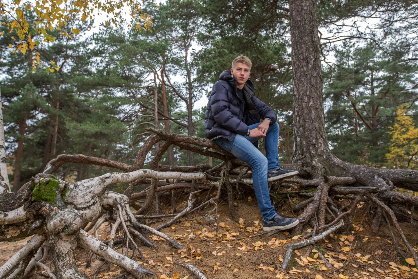 Jüri Vips võistleb tulevast aastast kas F3 või GP3 sarjas.