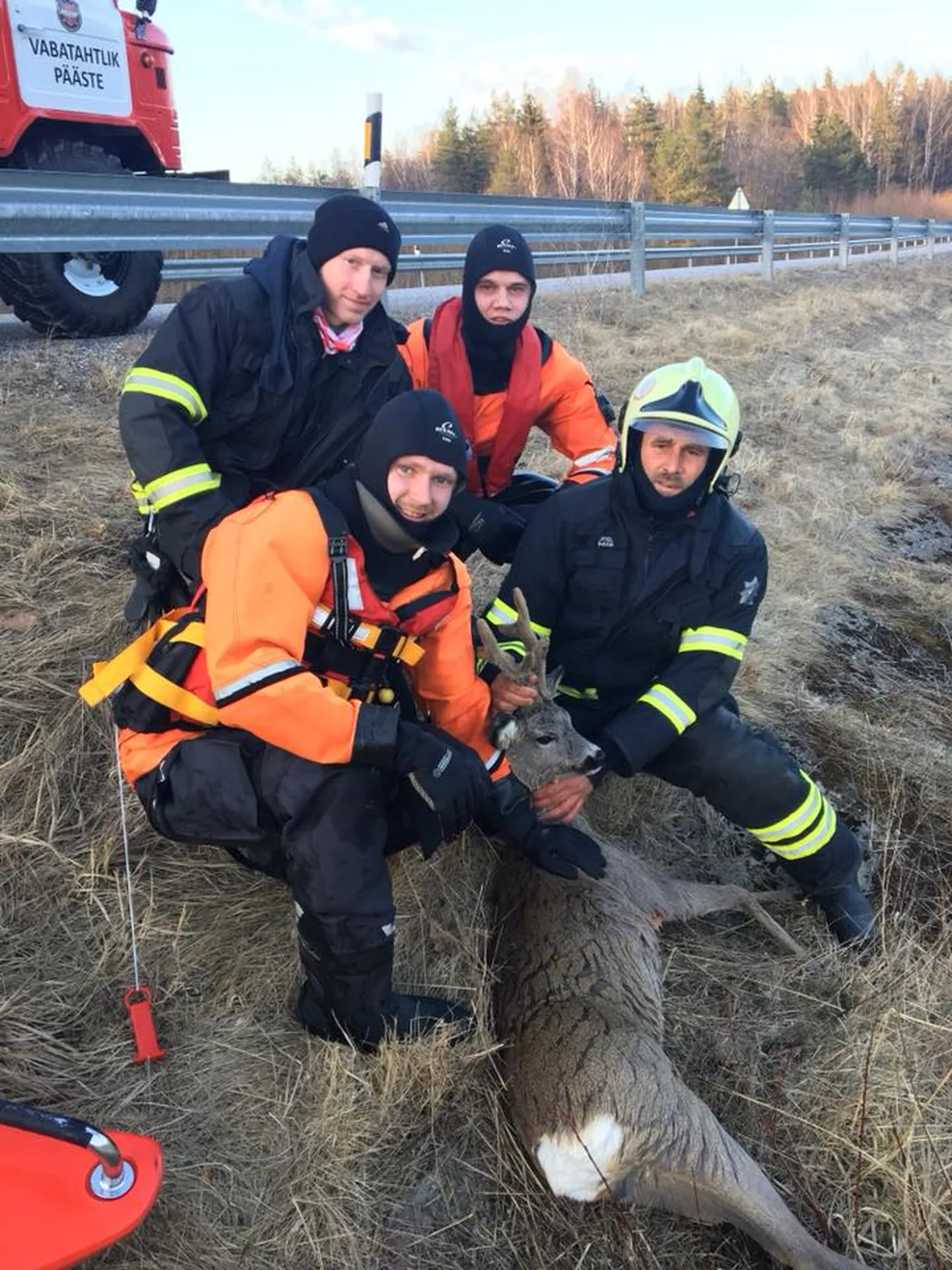 Päästjad äsja veest välja toodud metsloomaga