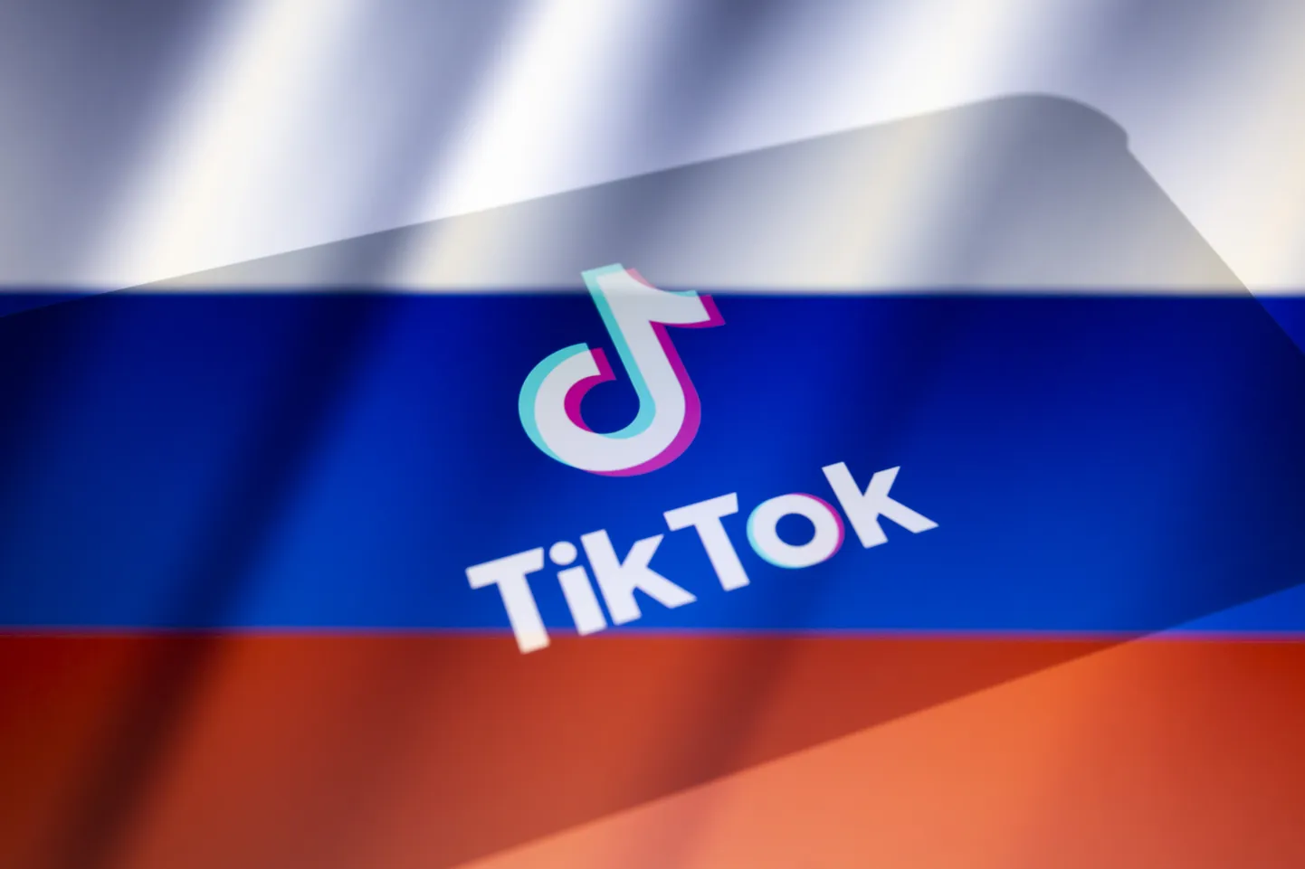 Фото статьи