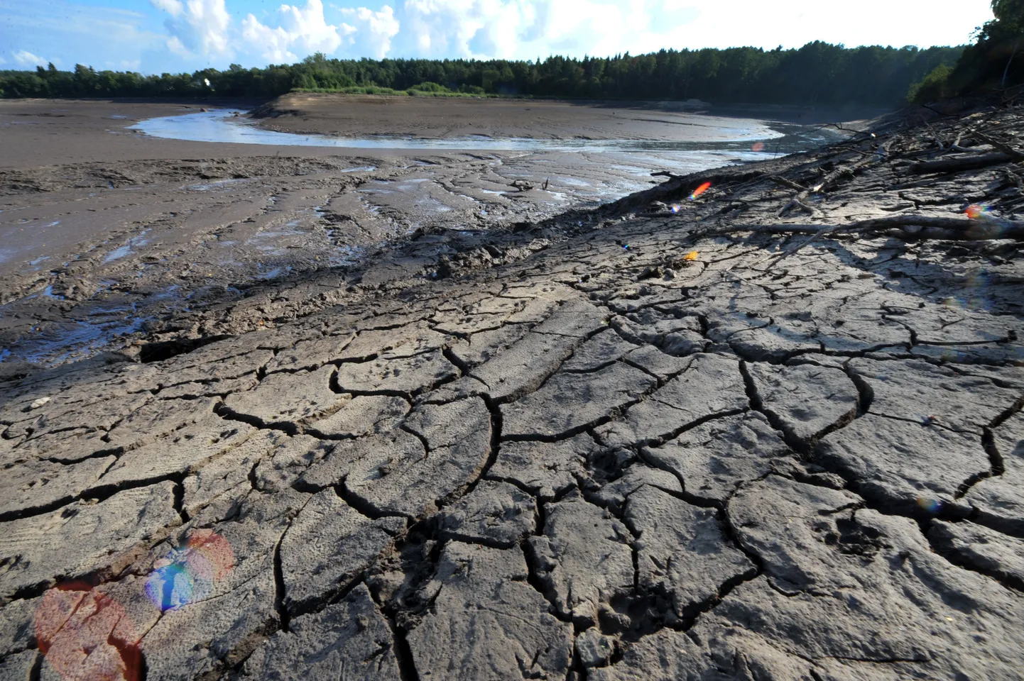 Eesti Energia tühjendas Jägala jõel oleva Linnamäe paisjärve, mis toidab Linnamäe hüdroelektrijaama.Foto tehtud aastal 2011.