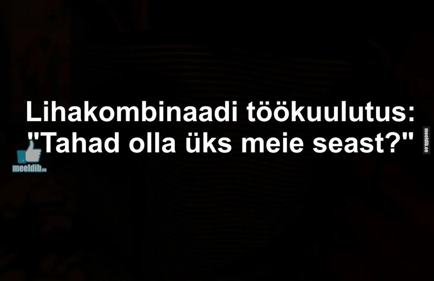 Artikli foto